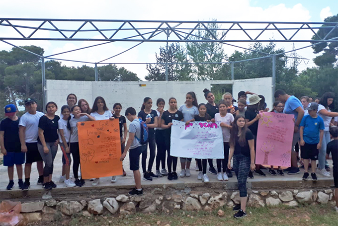 המועצה הירוקה